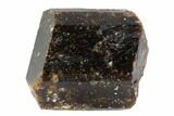 Large, Brown Dravite Tourmaline Crystal - Western Australia #96313-1